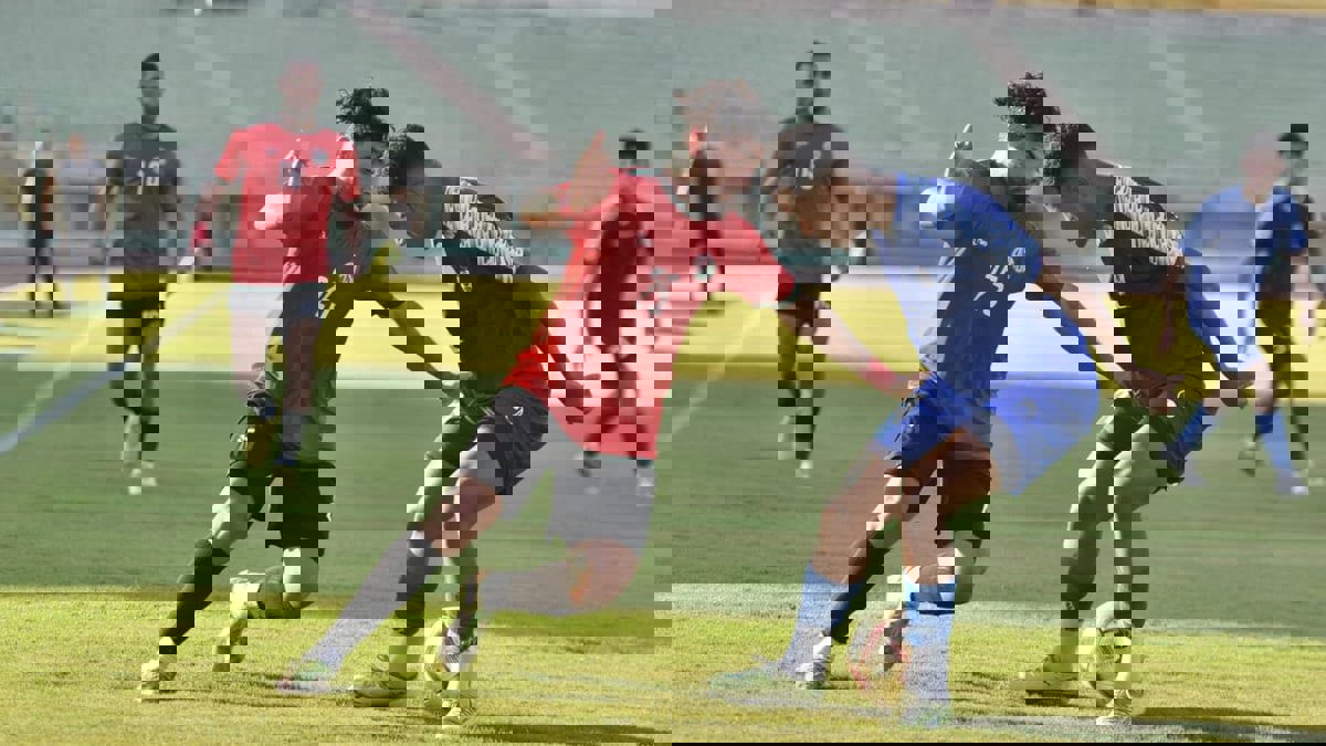 سيارات الإسعاف تدخلت.. اشتباكات بالأيدي في مباراة الصعود للدوري المصري (فيديو)