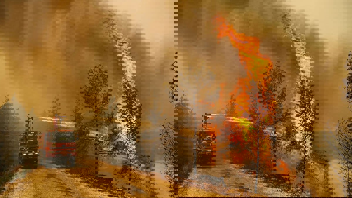 حرائق في شمال المغرب والرياح القوية تعرقل عمليات الإطفاء