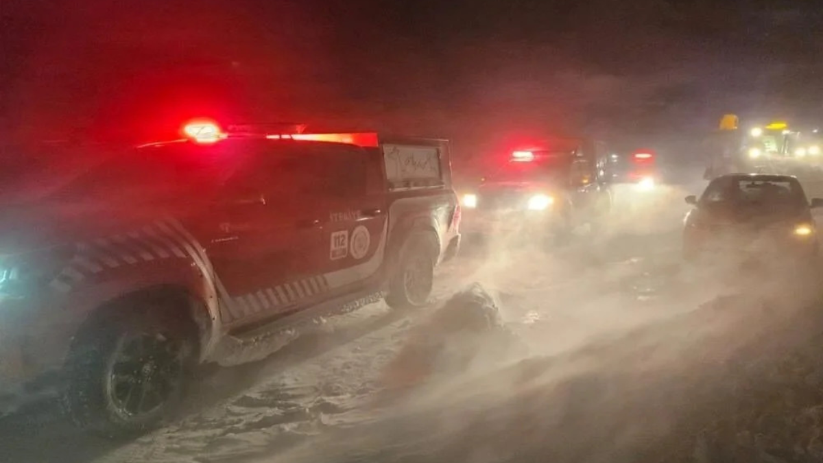 تركيا.. أرسل أغنامه للرعي "المجاني" فخسر 70 ألف دولار (صور)