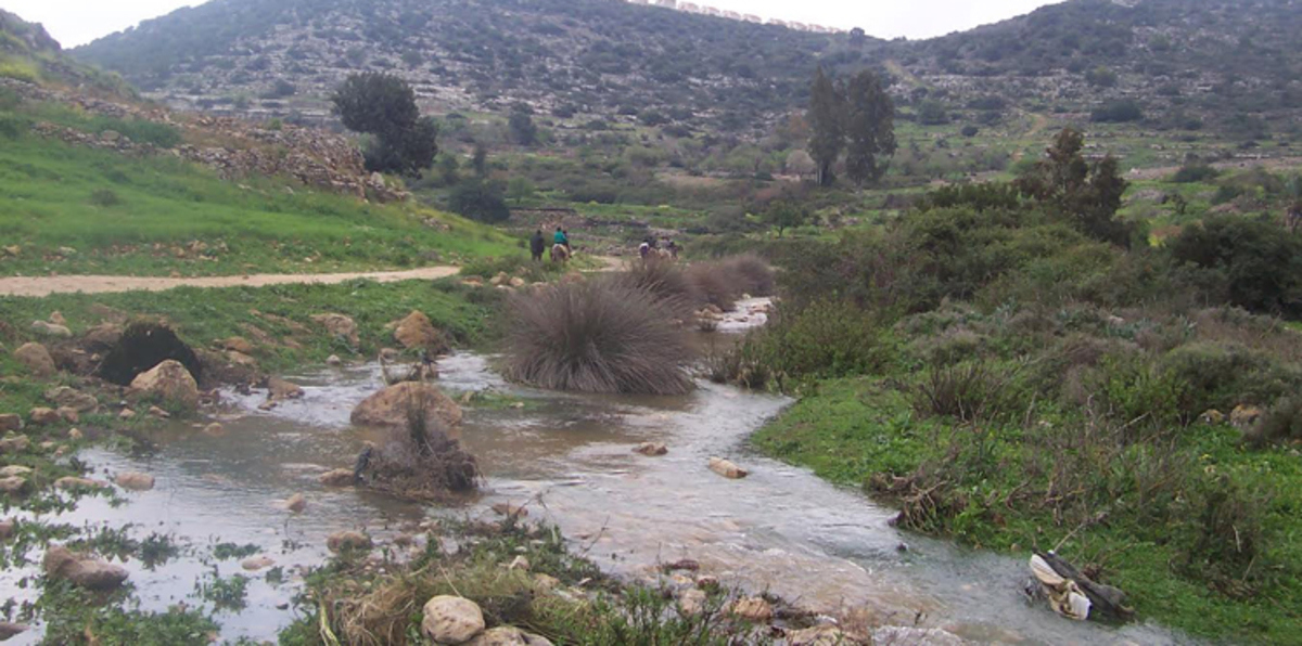 عوادم 24 مستوطنة إسرائيلية تنشر الموت في سلفيت