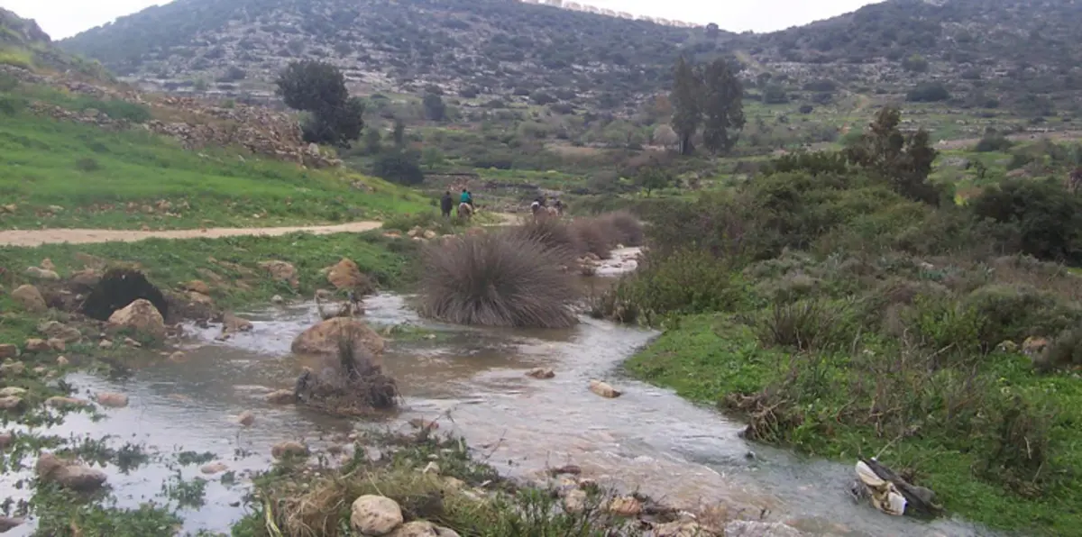 عوادم 24 مستوطنة إسرائيلية تنشر الموت في سلفيت