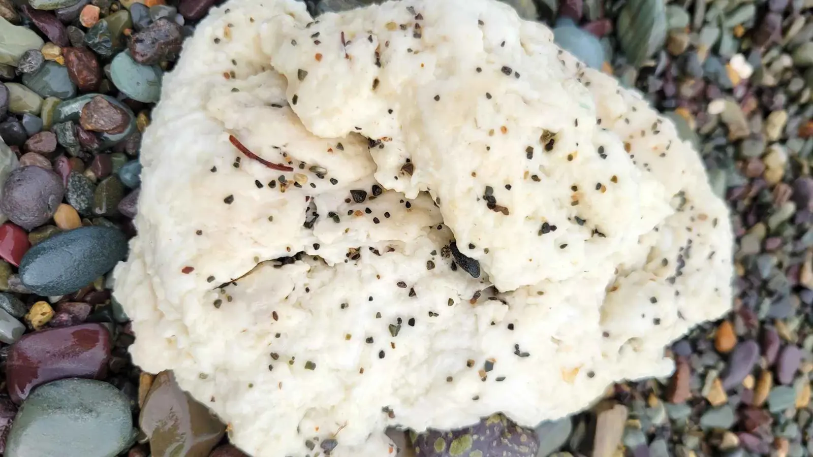 "كتل غامضة"  تحيّر العلماء على الشواطئ الكندية (صور)