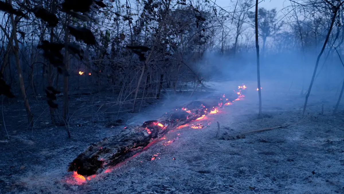 البرازيل ترفض مساعدة مجموعة السبع لإخماد حرائق الأمازون