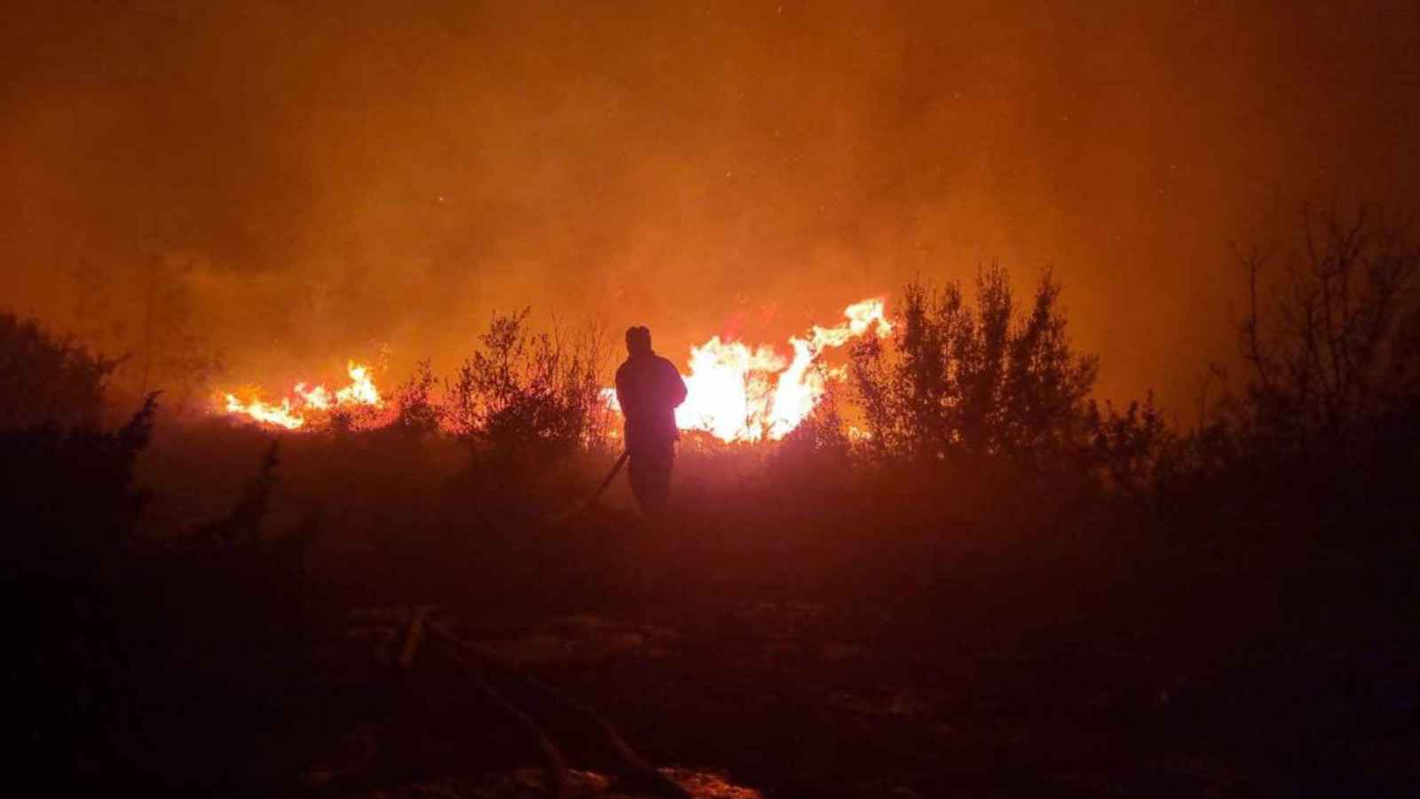 سوريا.. فرق الإطفاء تكافح سلسلة حرائق غابات (فيديو)