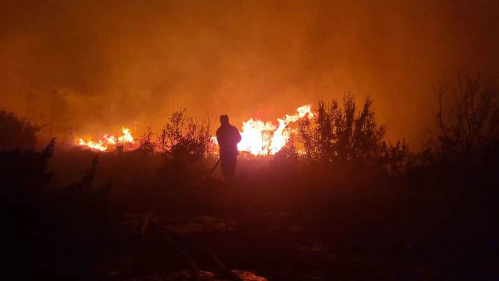 سوريا.. فرق الإطفاء تكافح سلسلة حرائق غابات (فيديو)