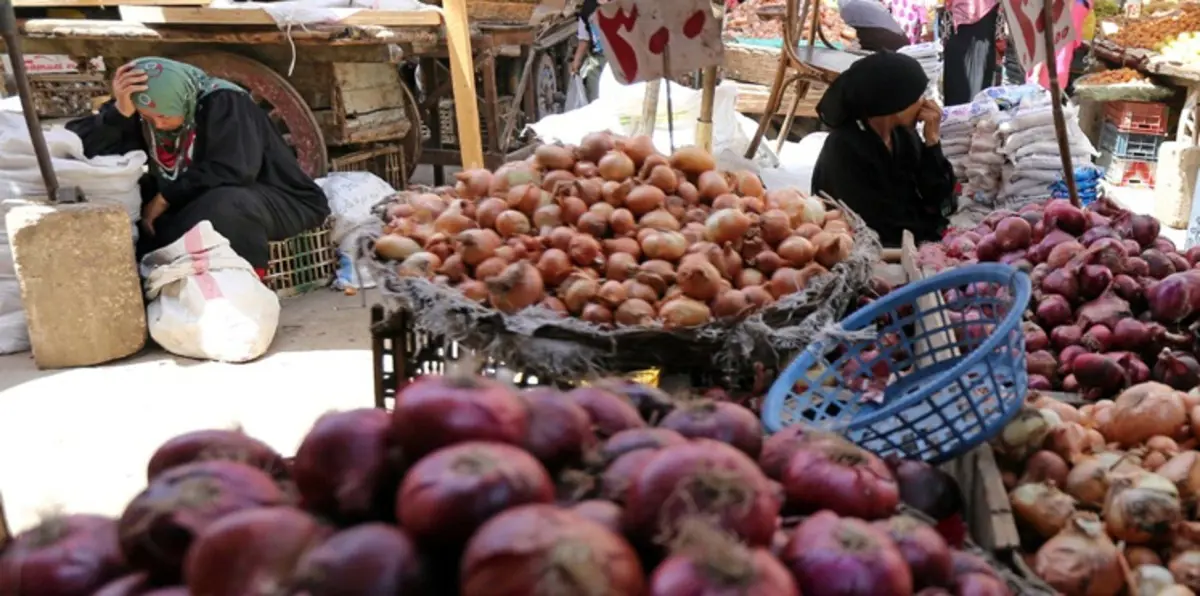 بعد إغراق الأسواق بالمستورد.. مزراعو مصر يطالبون الحكومة بإنقاذ "البقوليات"