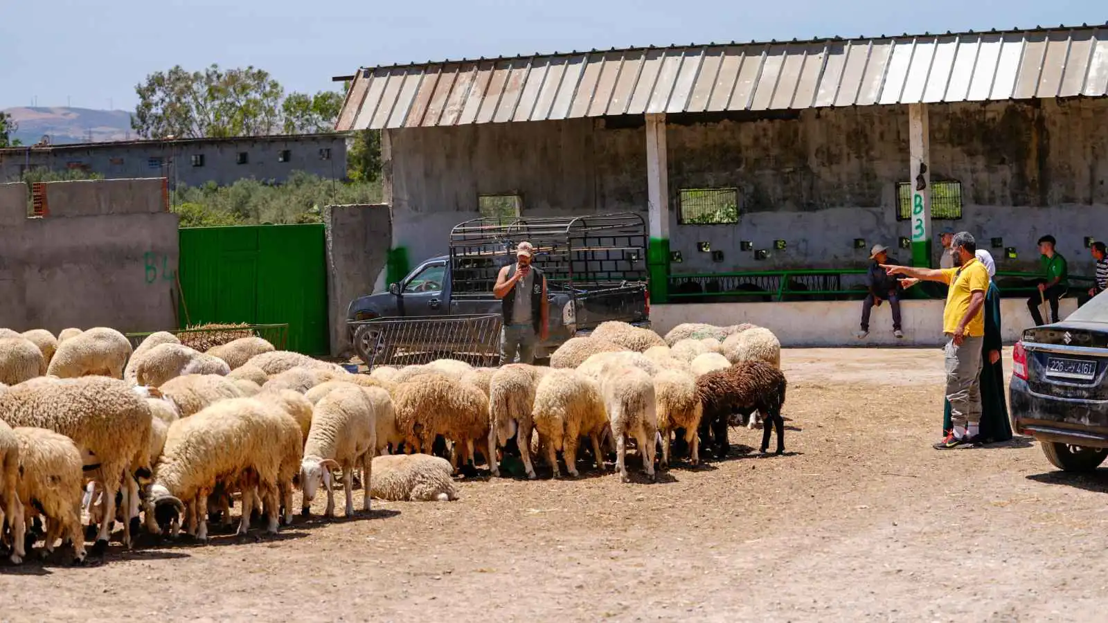 وسط موجة غلاء.. قرار رئاسي بتخفيض أسعار اللحوم في تونس