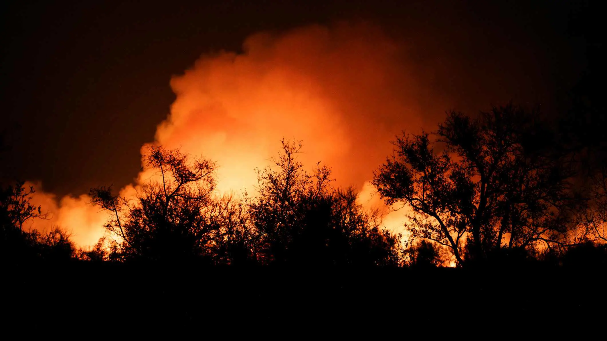 المغرب.. حريق "الشرشارة" يلتهم أشجار الصنوبر والبلوط (صور)‎