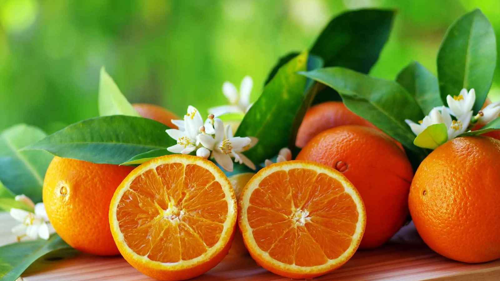 زيت البرتقال.. كنز من الفوائد الصحية والجمالية