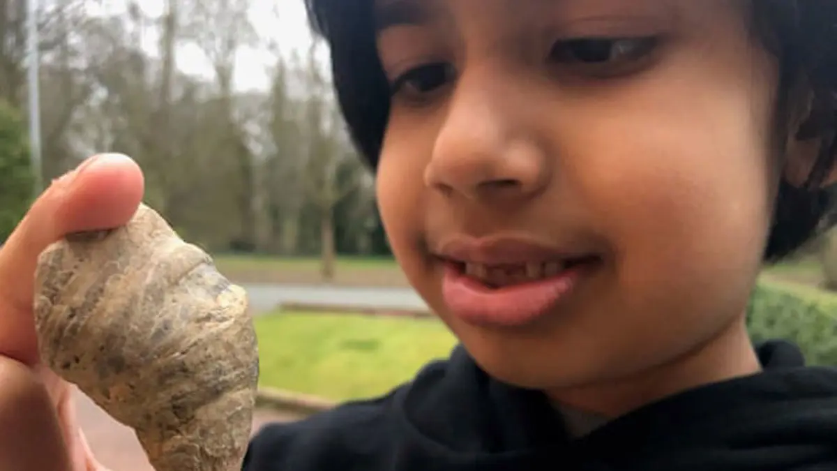 طفل بريطاني يعثر على أحفورة عمرها 488 مليون عام