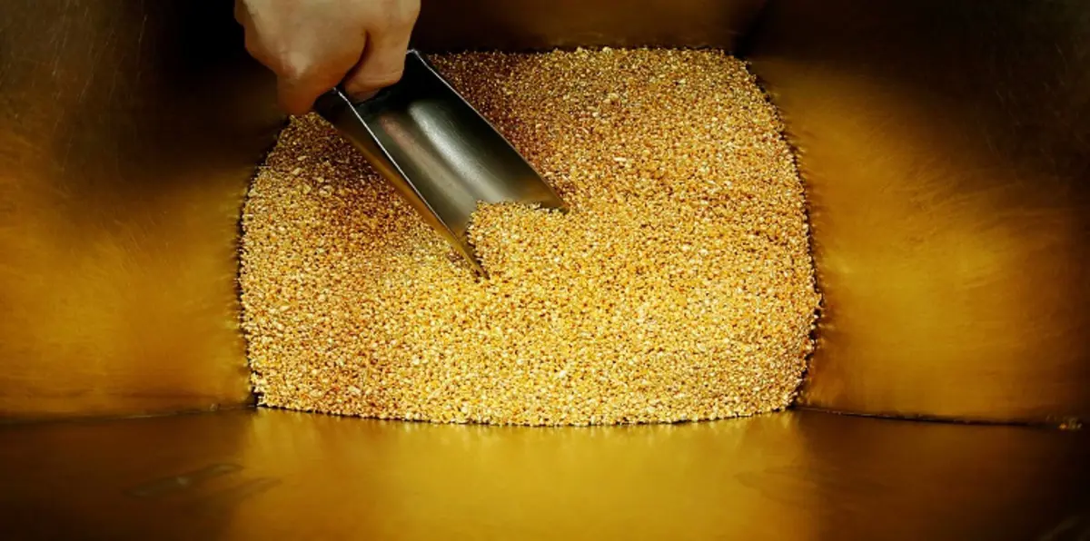 الذهب يستقر مع تركيز المستثمرين على جدول أعمال ترامب