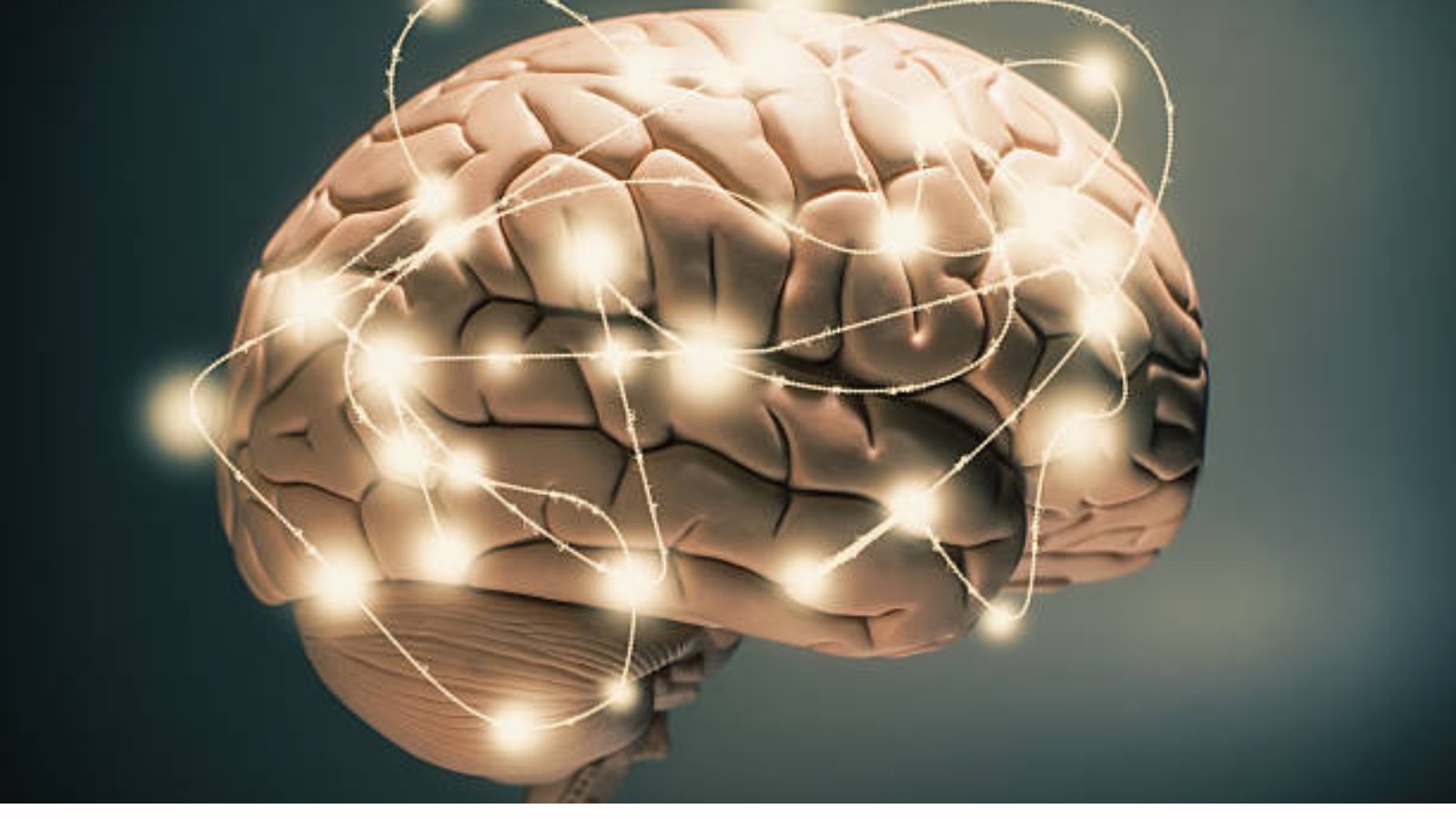 الوعي في الدماغ.. دراسة حديثة تكشف موقع الشعور والإدراك