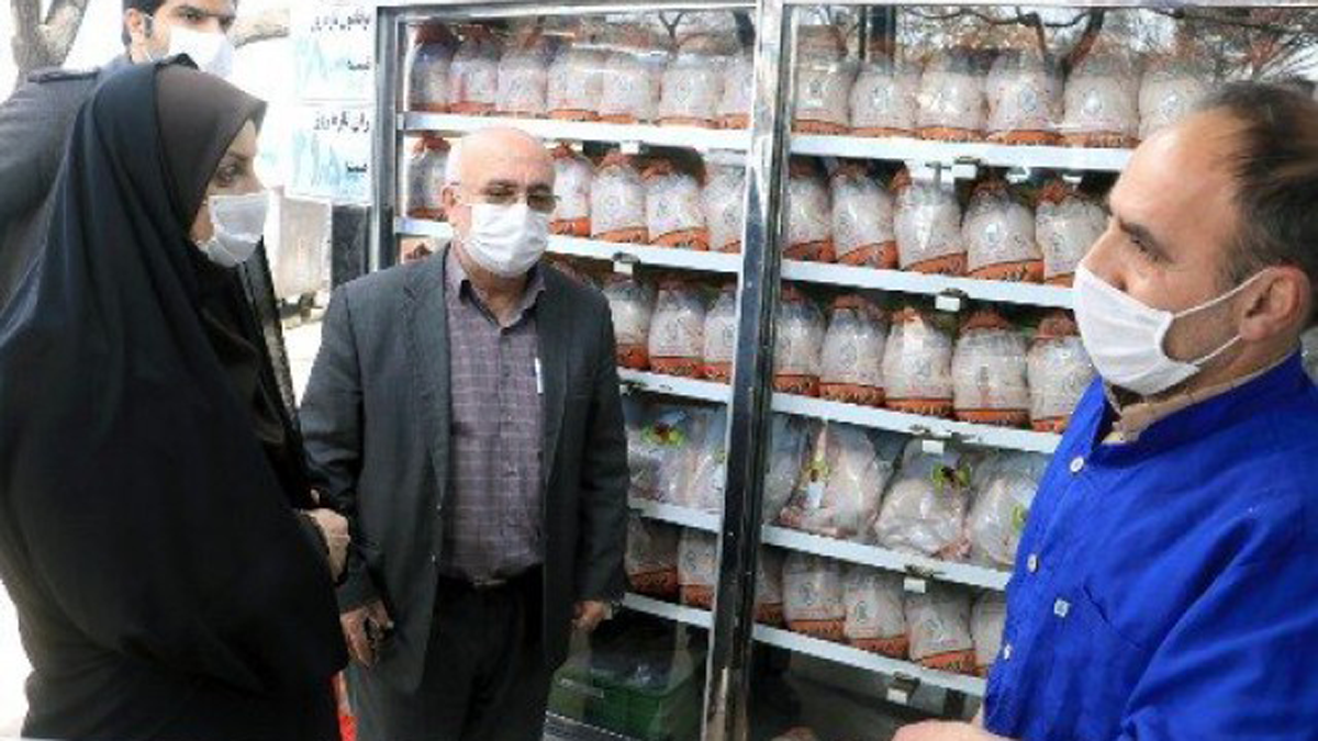 تقرير إيراني: طوابير الدجاج إذلال جماعي للشعب (فيديو)