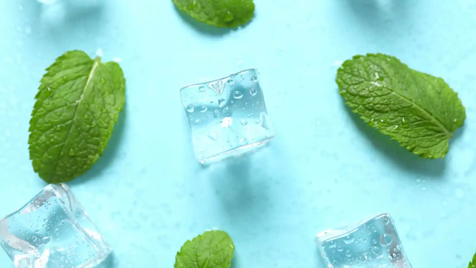 ما سرّ الإحساس بالبرودة عند تناول النعناع؟