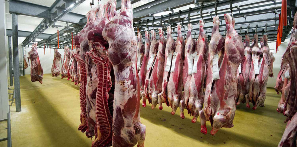 إغلاق مطبخ بإحدى الاستراحات في السعودية ومصادرة 750 ذبيحة