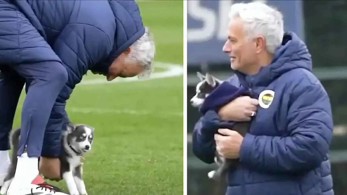 مورينيو يداعب كلباً في تدريبات فنربخشة التركي (فيديو)