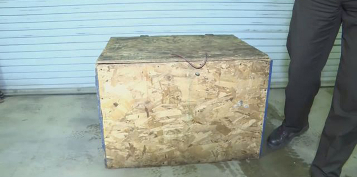 بالصور.. أبٌ يجبر طفلته على العيش في صندوق مغطّى بالحشرات الميتة