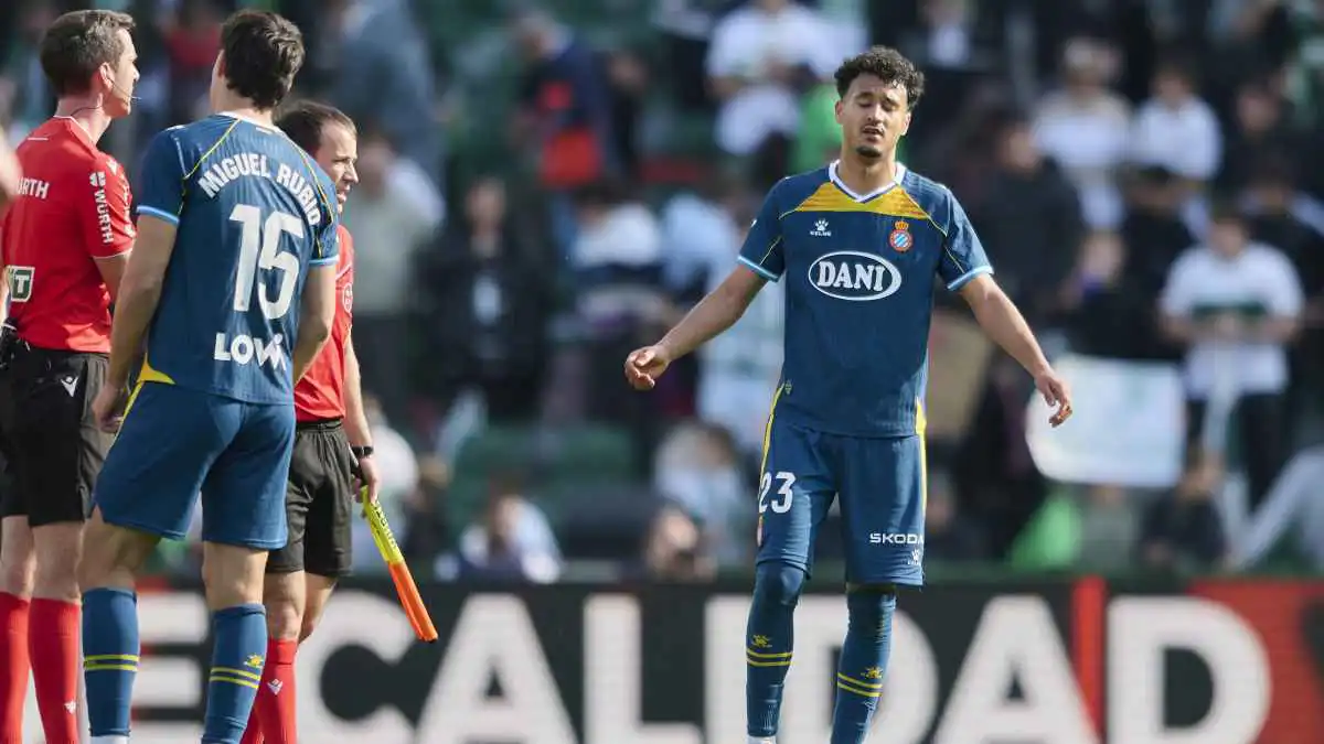 توقفت المباراة بسببها.. ما العبارة التي قالها رافا مير للمغربي عمر الهلالي؟