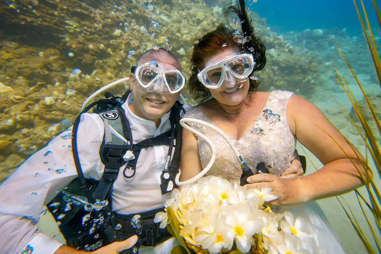  الزوجان سيبيل بلومنتال وروب بورفيلد، 