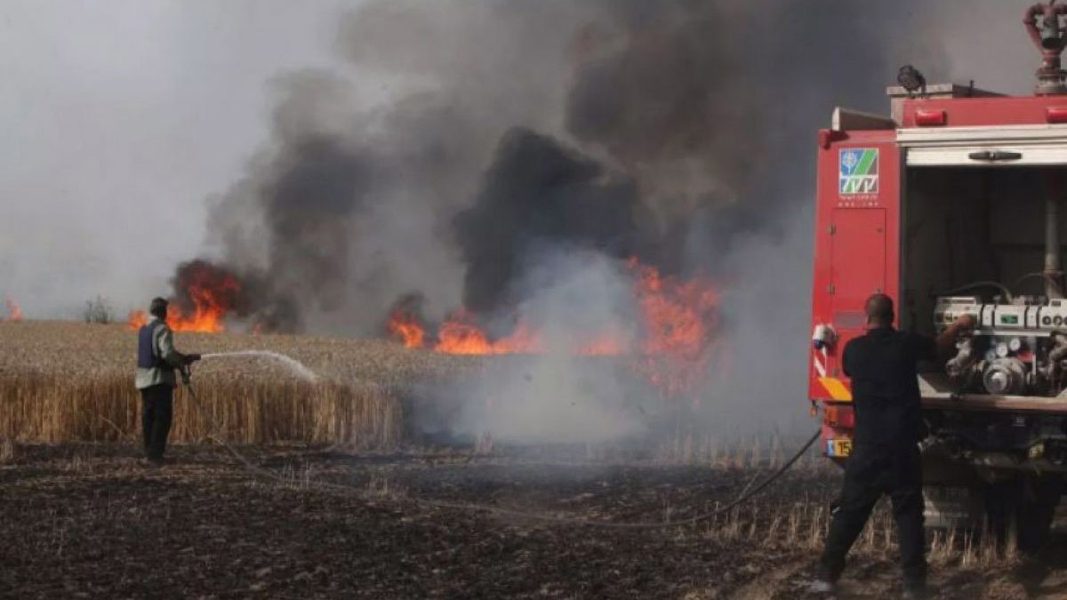 اندلاع حريق في مستوطنة إسرائيلية جنوب نابلس