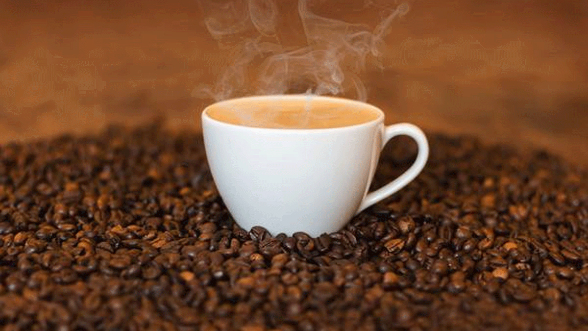 منها المكسرات والأفوكادو.. 7 أطعمة تضر بكليتيك تجنب الإكثار منها