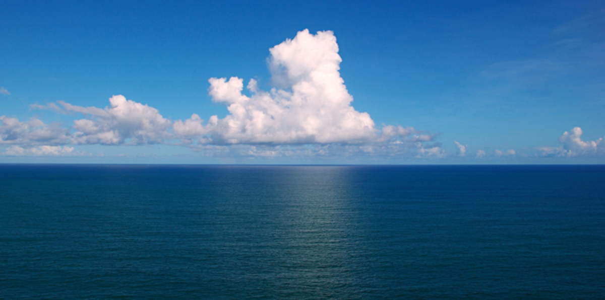 بالصور.. أول رجل في العالم يبدأ في قطع المحيط الأطلسي سباحةً