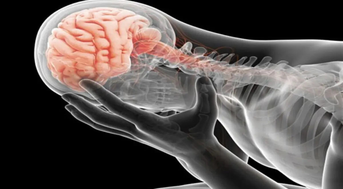 دراسة: الاكتئاب الحاد مرتبط بالتهاب الدماغ