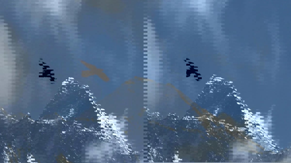  مصرع 5 أشخاص بتحطم طائرة فوق جبل إيفرست في نيبال