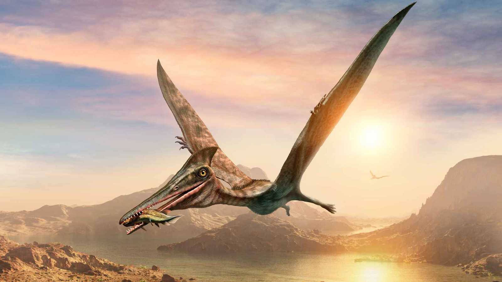 "قيء الديناصورات" يكشف أسرار حياة الكائنات ما قبل التاريخ