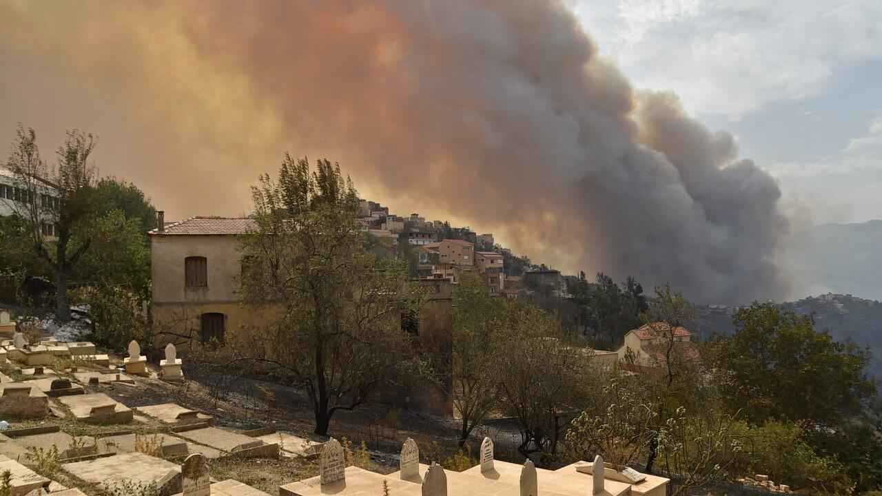 تعزيزات للسيطرة على حرائق الغابات بالجزائر (فيديو وصور)