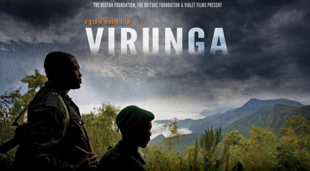 "دي كابريو" ينتج فيلما عن الغوريلات