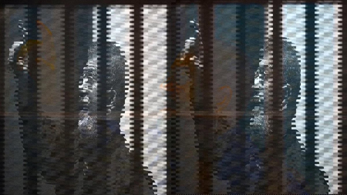 النيابة المصرية تتهم محمد مرسي بـ"العمالة" للحرس الثوري الإيراني وحماس