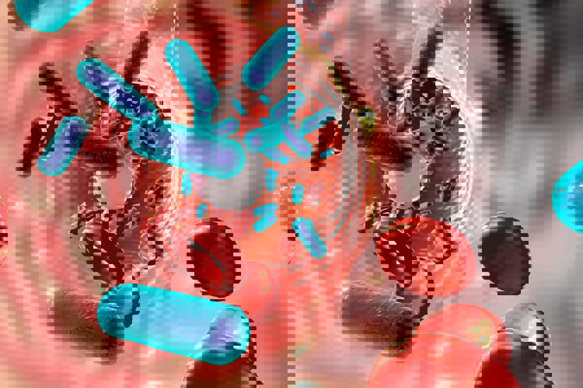 ما هي أعراض مرض السل وكيف ينتقل؟