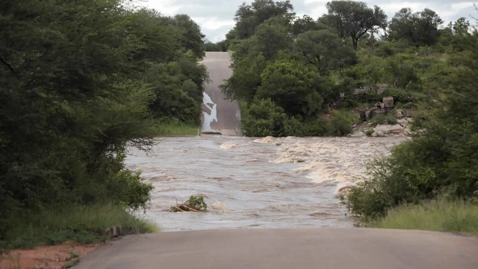 خلّفت أكثر من 100 قتيل.. فيضانات تجتاح منطقة الجنوب الأفريقي