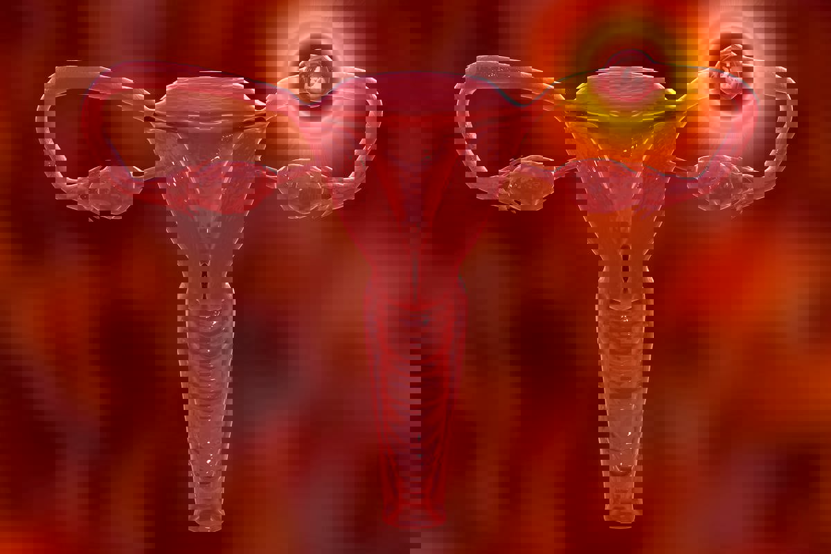 الحمل خارج الرحم.. ما أعراضه؟