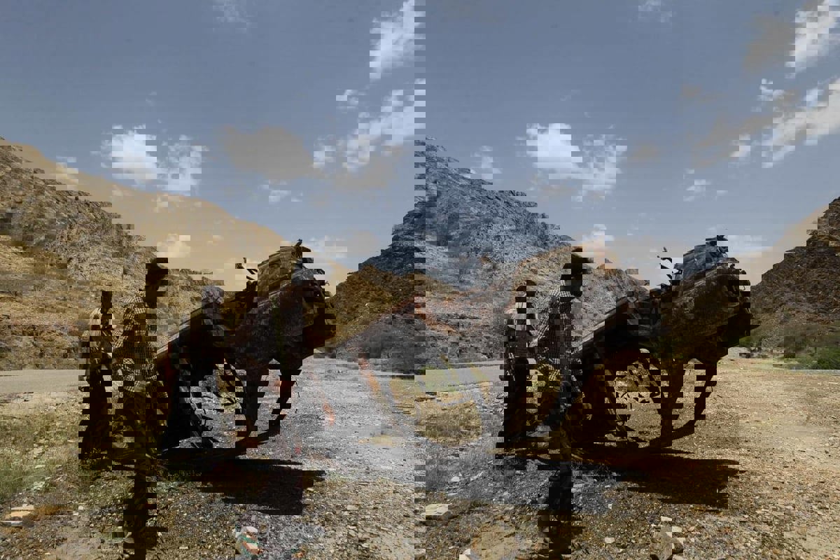 القاعدة تستهدف بالطيران المسيّر تجمعات قبلية في اليمن