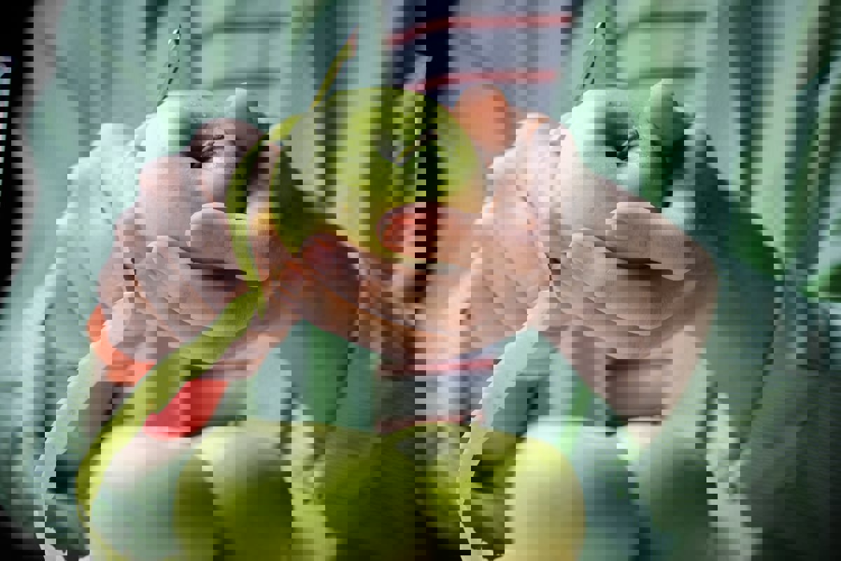 كيف يؤثر تقشير الفواكه والخضروات على قيمتها الغذائية؟