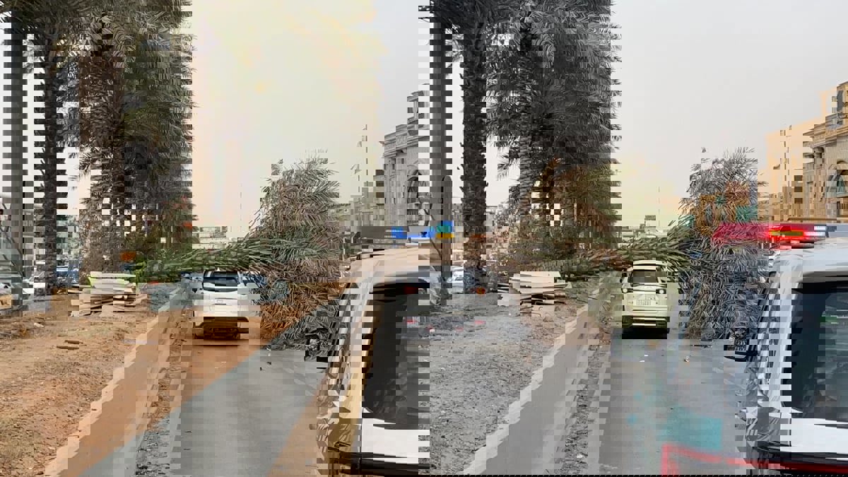 شركة تأمين سعودية تتراجع عن تقريرها الصادم بشأن "حادثة النخلة"