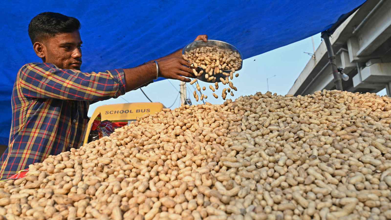 حفنة يومية تبعد شبح الخرف.. كنز من المنافع للفول السوداني