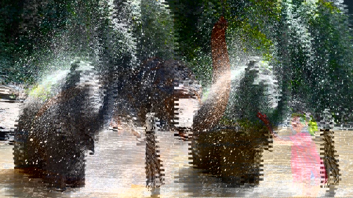 سياحة خالية من القسوة على الحيوانات.. اتجاه جديد في عالم الرحلات