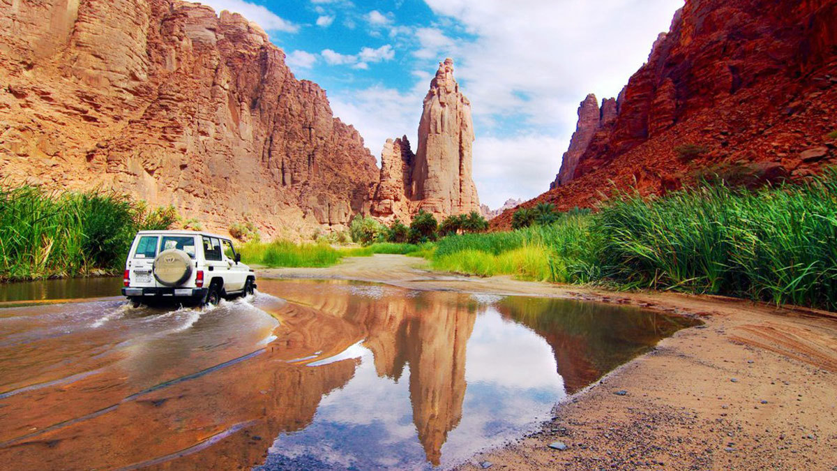 السعودية تطلق برنامج توظيف بثلاثة شروط فقط في "نيوم"