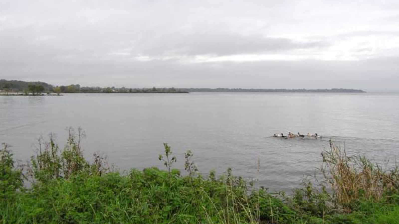 أزمة أكبر بحيرة مياه عذبة في المملكة المتحدة تتحول إلى "مشكلة سياسية"