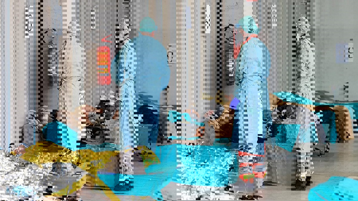 إصابات كورونا حول العالم تتخطى 3.95 مليون