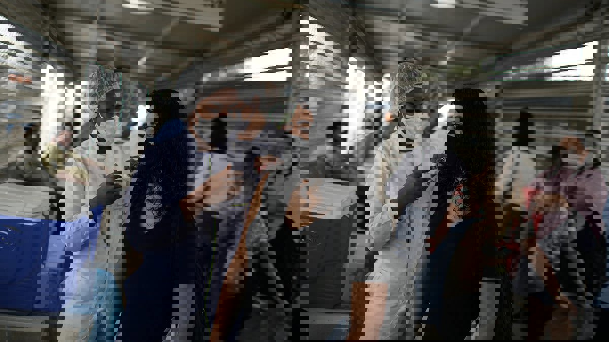 دراسة: لقاحات كورونا أقوى 5 مرات من المناعة الطبيعية