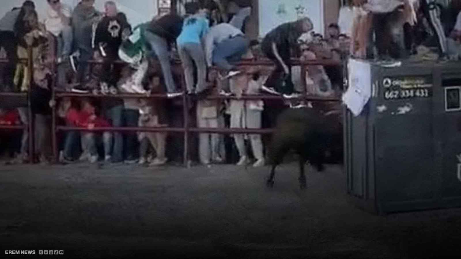 لحظات مرعبة في إسبانيا.. ثور غاضب يحوّل مهرجاناً إلى فوضى