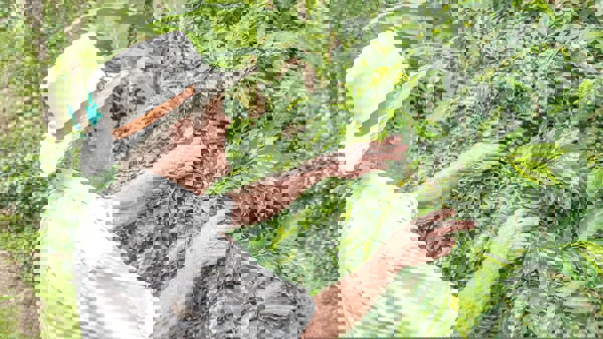 قطاع زراعة البن في كولومبيا يواجه خطر الانهيار بسبب أسعار الوقود