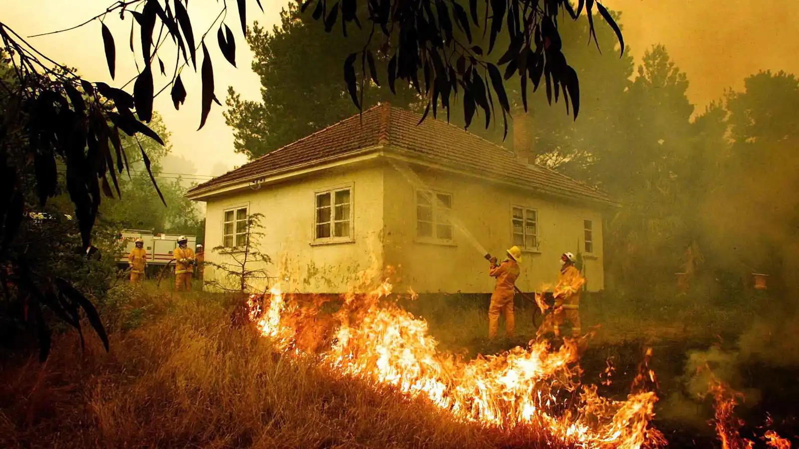 حرائق الغابات الأسترالية تتسبب بدمار هائل (فيديو وصور)