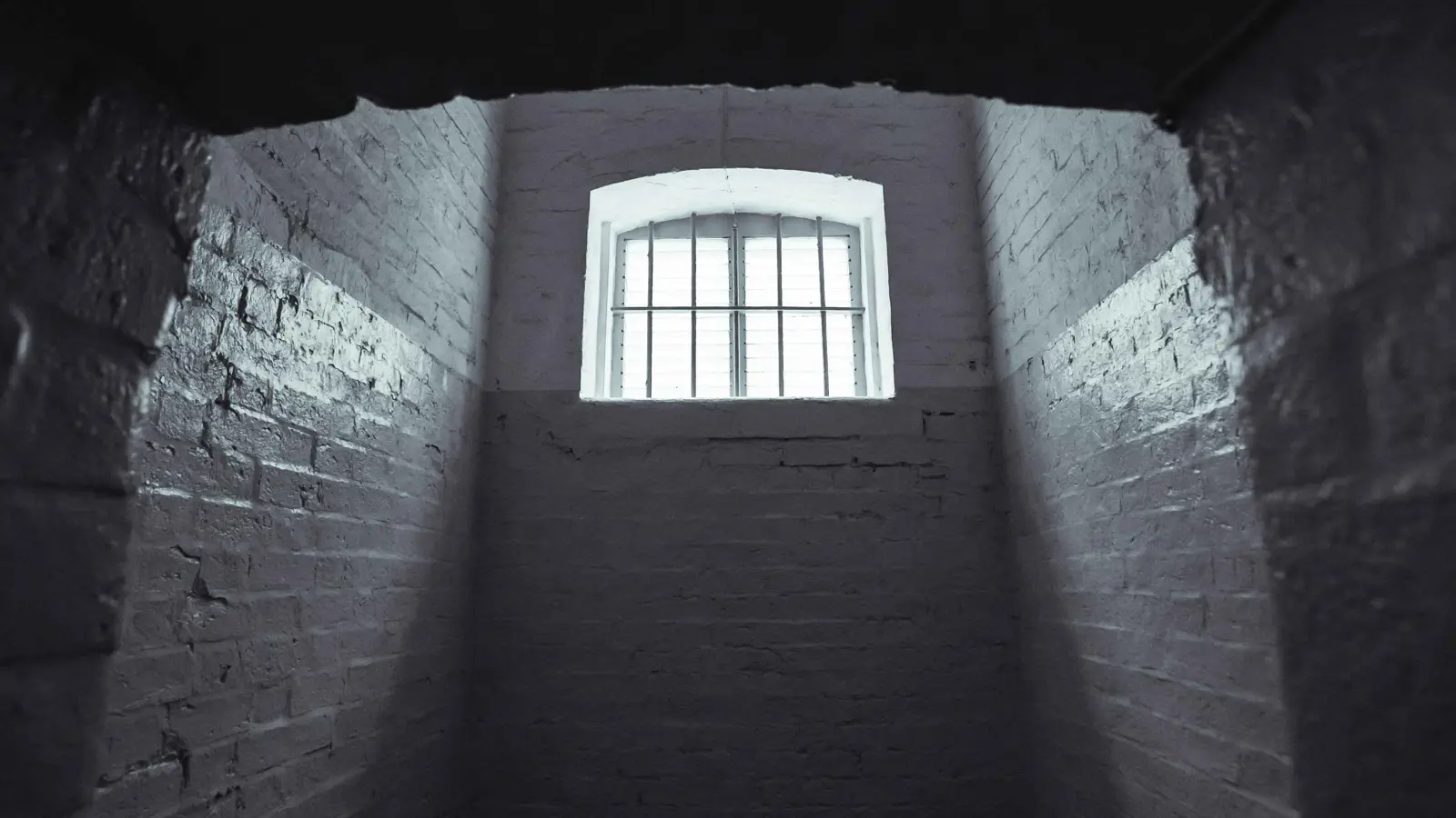 بتهمة نشر مشاهد خادشة.. القبض على البلوغر "أم رودينا"