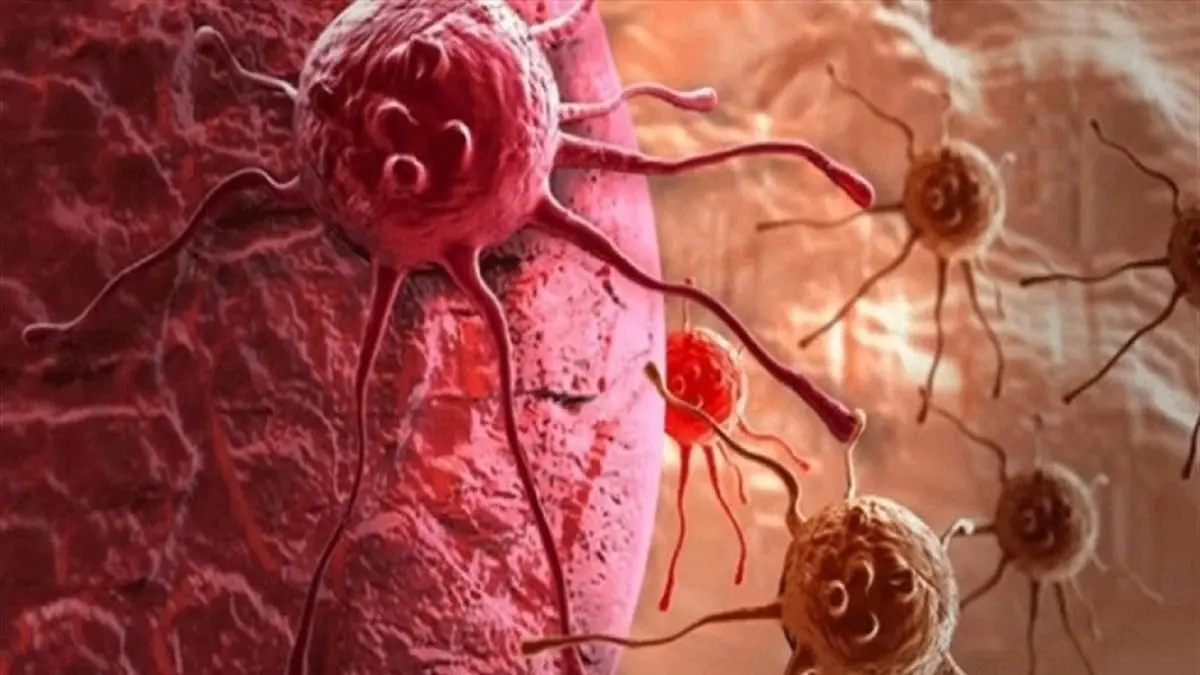 علماء يكتشفون خلايا دماغية غريبة 