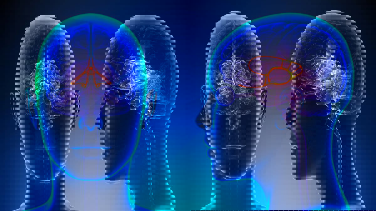 باحثون يطورون مادة اصطناعية قادرة على "التفكير" مثل العقل البشري